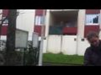 Des rapaces pour chasser les étourneaux à Pauline-Kergomard (vidéo Anne Kerjean)