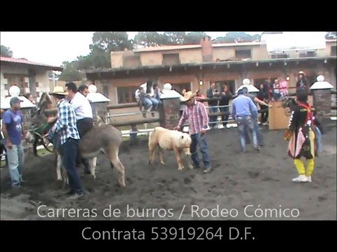 CARRERAS DE BURROS. fiesta tematica. EVENTOS CHARROS. rodeo comico. CHARLOTADA. Fiestas en el D.F.