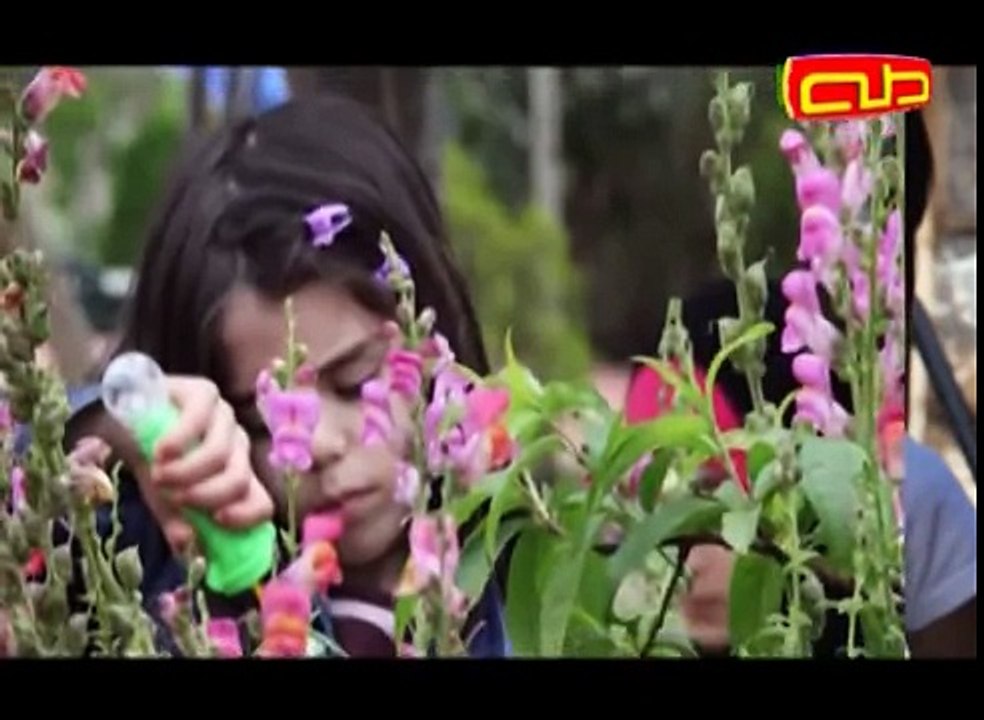 أناشيد ترفيهية - إسم وصورة