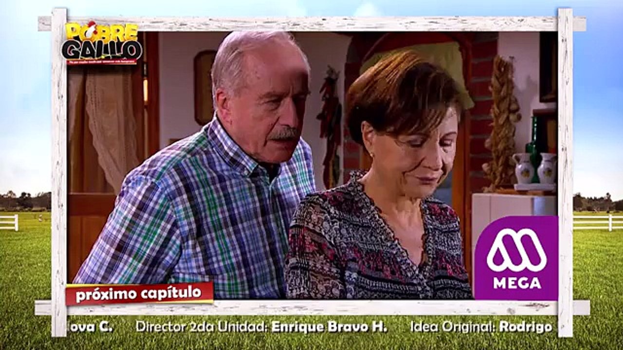 102 Avance Pobre Gallo