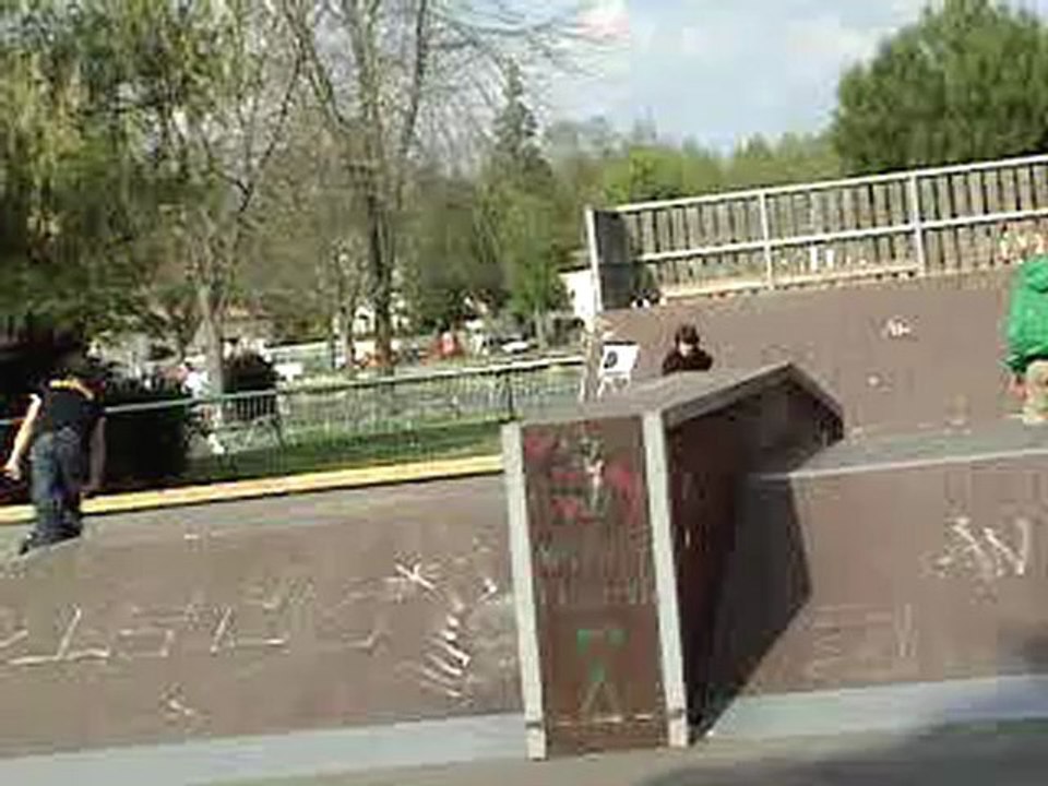skate(vincent)