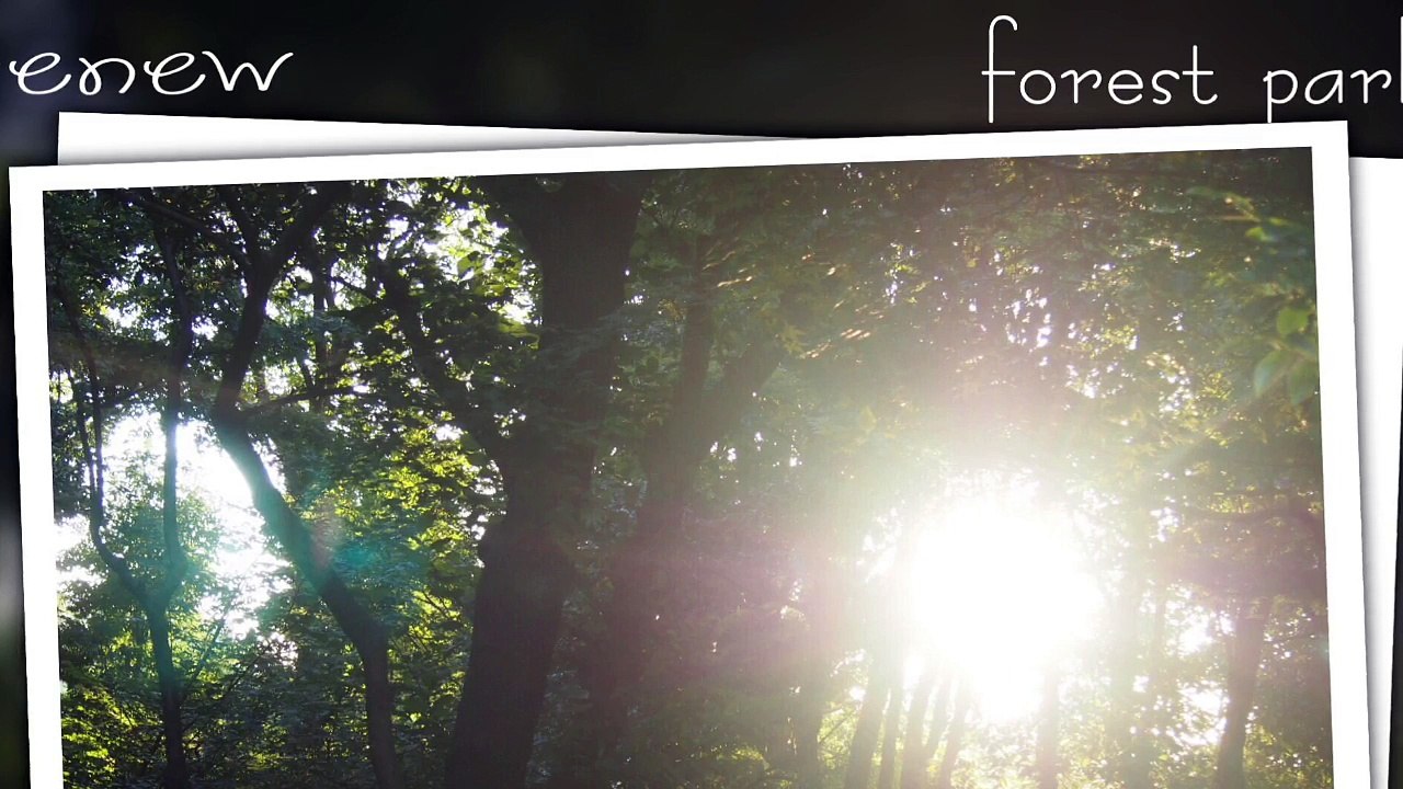 renew / forest park
