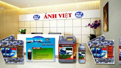 Phim tự giới thiệu - Công ty Ánh Việt, chung sức vì thủy sản Việt