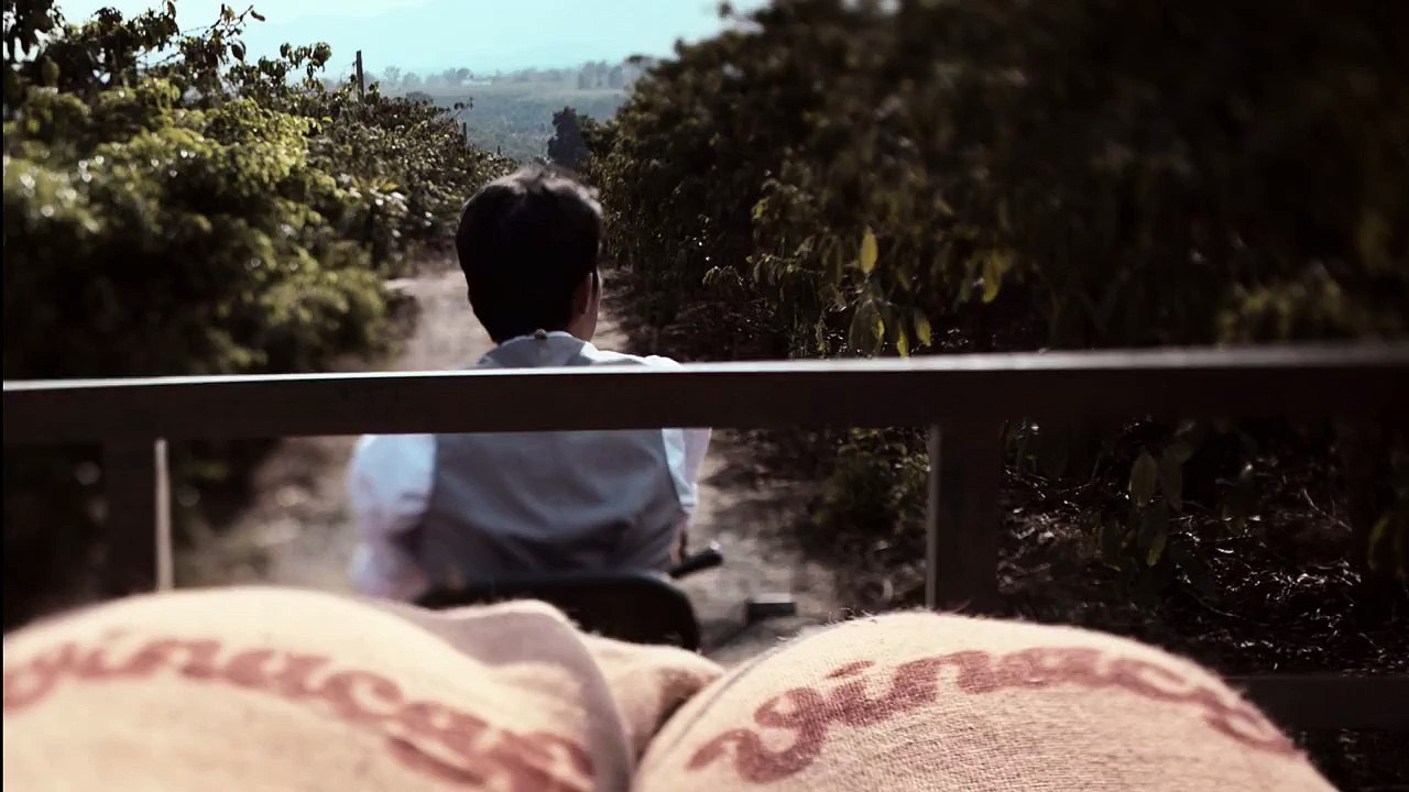TVC - Vinacafé 2014