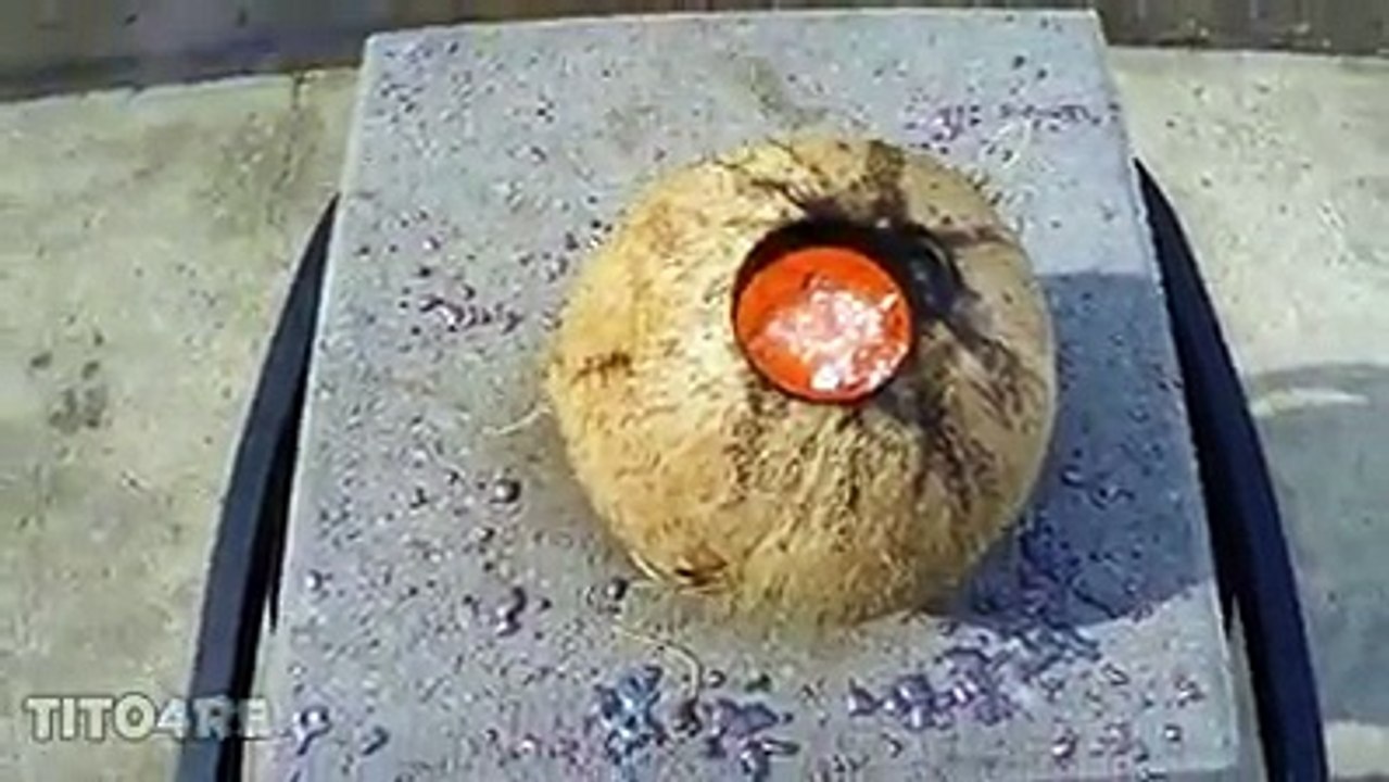 12973944_1673283239597859_1885344810_n