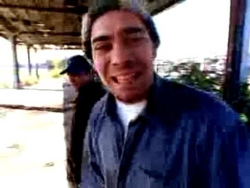 The Goats - TYPICAL AMERICAN