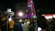 עץ אשוח,ענק לכבוד חג המולד בגובה 15 מ' במתחם אנדרומדה ביפו, בין הרחובות יפת ולואי פסטר