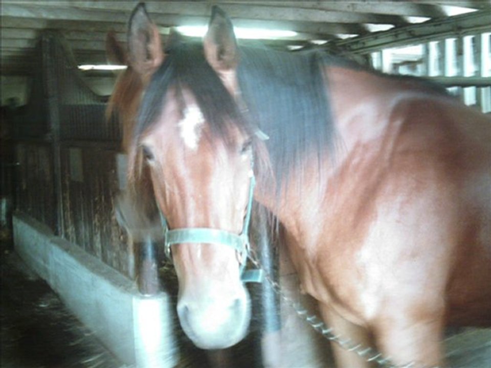 Mes chouchous_0001