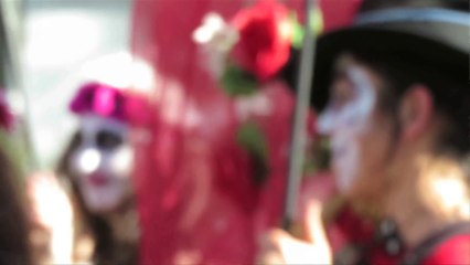 Lavaur carnaval sans permis 2016