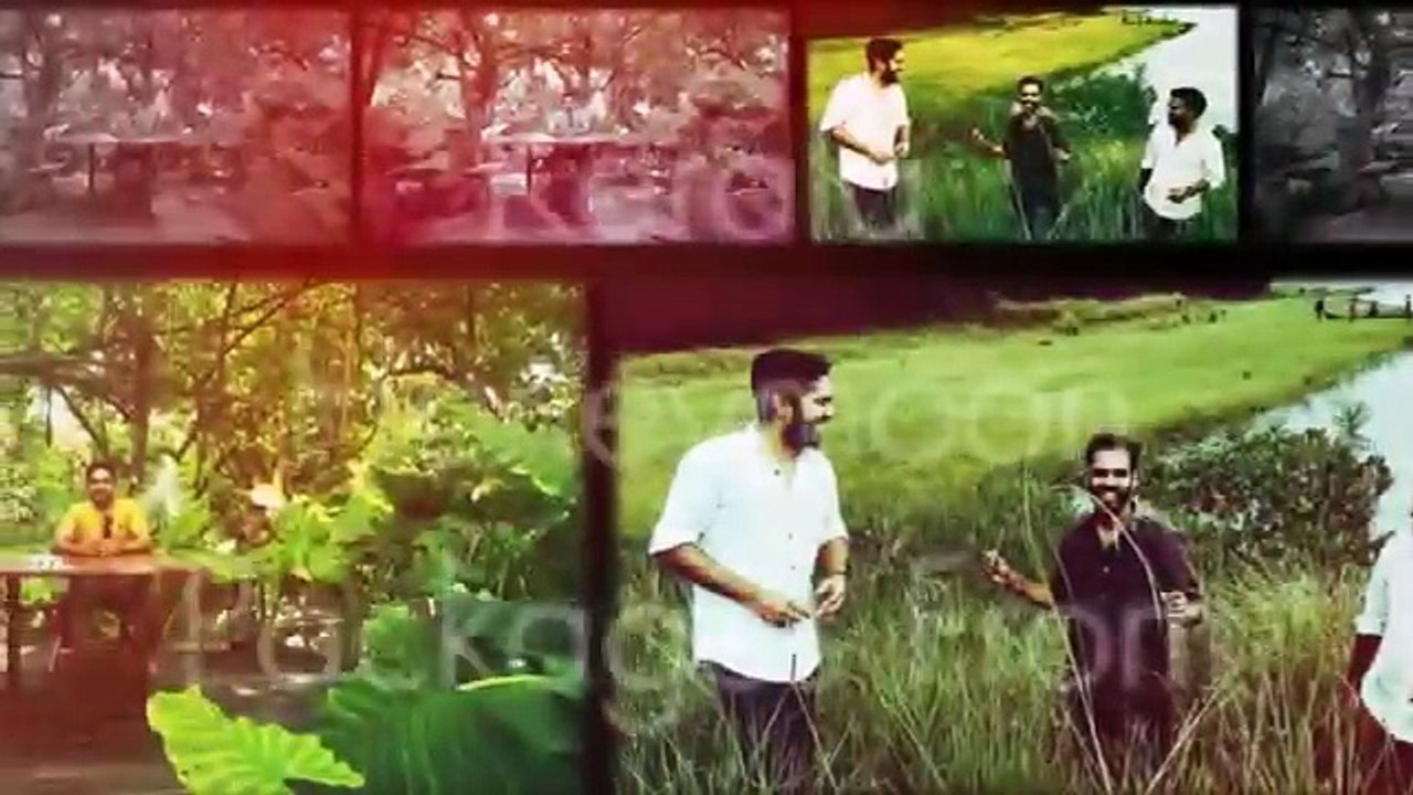 Kerala Honeymoon Packages From Holiday Mango Travels   (Cre