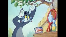 Tom and Jerry, Vol. 1, E8: The Zoot Cat [HD 720p - Full scenes - NO crop - English subtitles]