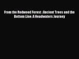 Read Books From the Redwood Forest : Ancient Trees and the Bottom Line: A Headwaters Journey
