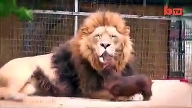 پانامہ لیکس کے بعد ملکی سیاست میں پیدا ہونے والے بحران سے حکومت کو نکالنے کے لیے لندن میں اہم میٹنگ جاری