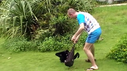 Monkey VS Man  NEW Funniest Monkey Video Captured in Camera