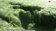PLANETE crop circles et traces d'ovnis part.1...