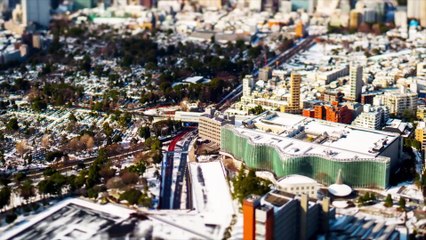 Could We Survive Without Electricity?