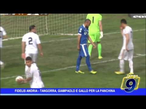 Fidelis Andria | Tangorra, Giampaolo e Gallo per la panchina