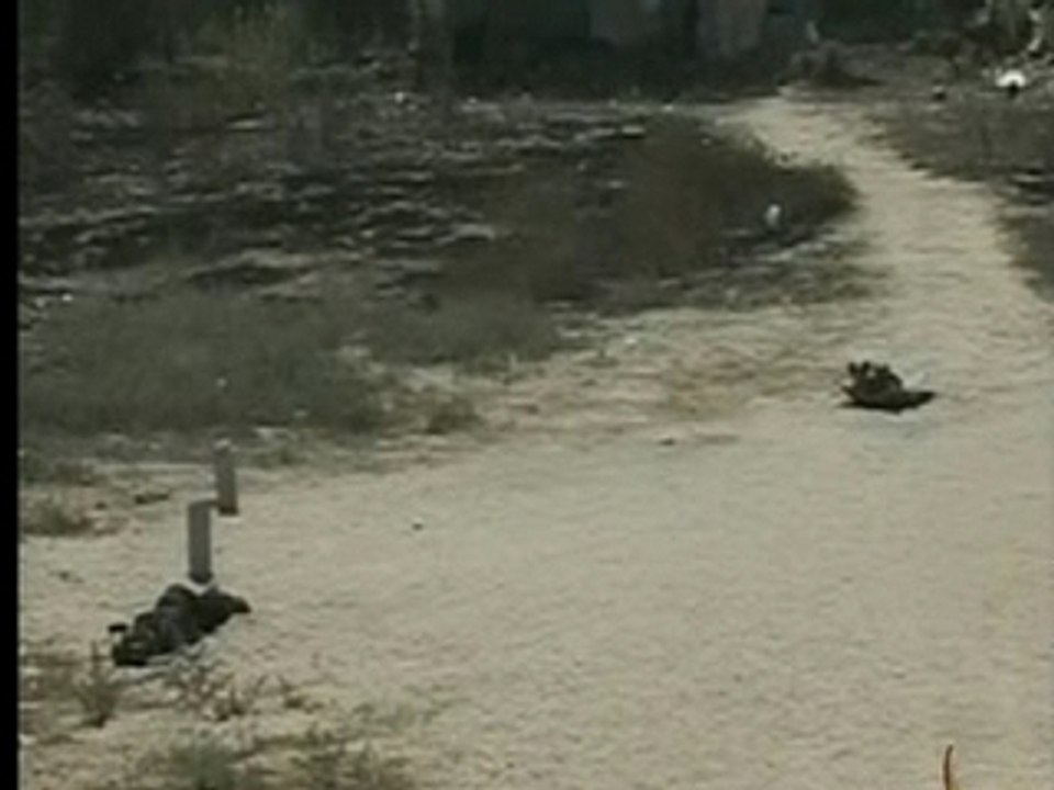 la barbarie des sionistes