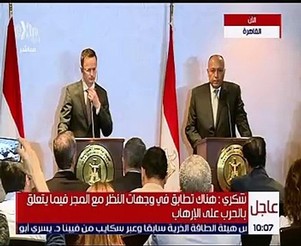 بالفيديو .. الخارجية : لا مساس بالأراضى المصرية فى تسوية الصراع الفلسطينى الإسرائيلى