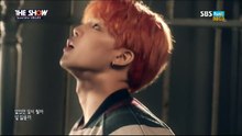BTS BUTTER FIY