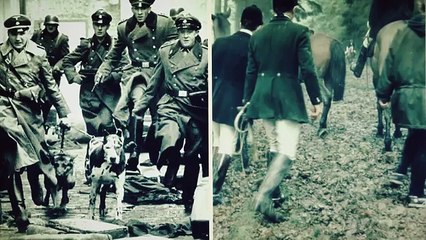 10 Things You Didn't Know About Hitler