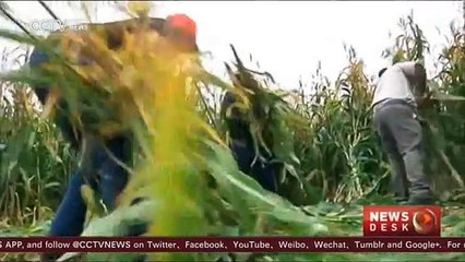 New report connects kidney disease with climate change