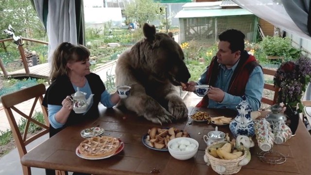 Cette famille vit tous les jours depuis 23 ans avec un ours