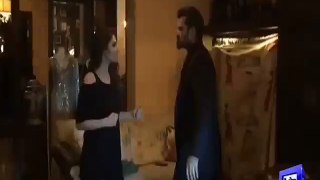 Mahira khan 'lighlty' punches Hamza Ali Abbasi.