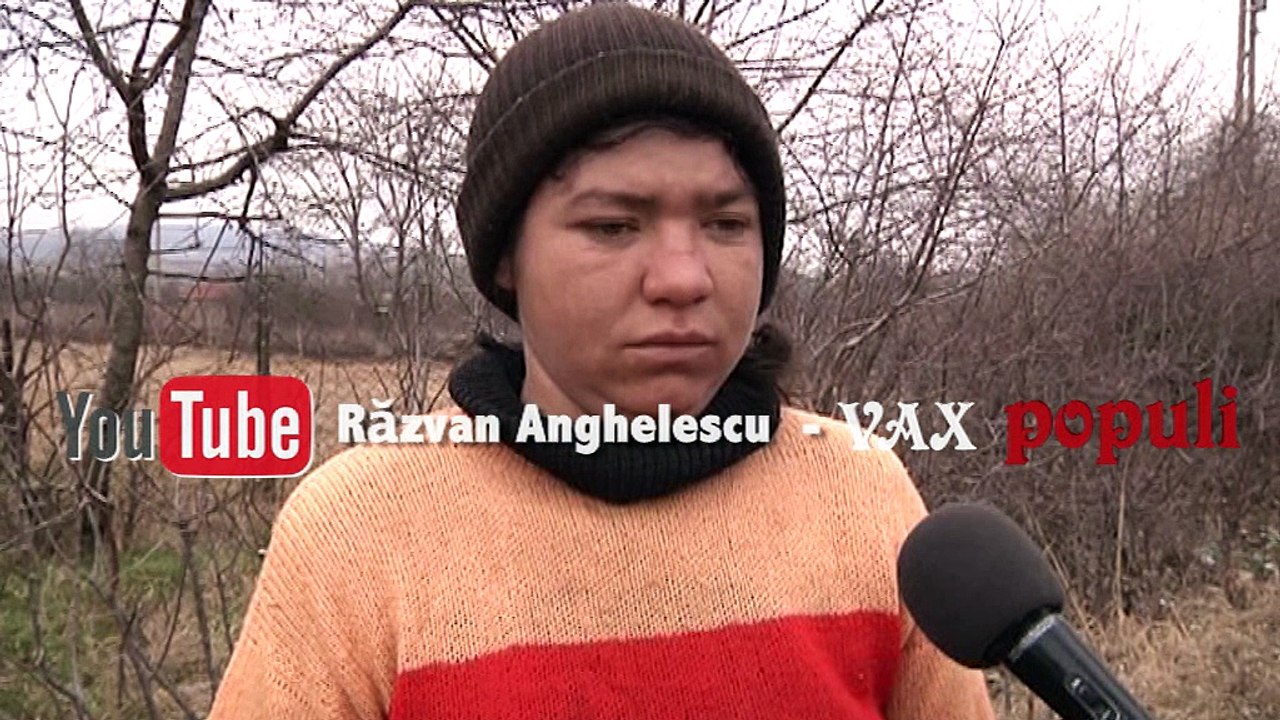 CÂTE ZILE SUNT ÎNTR-UN AN?