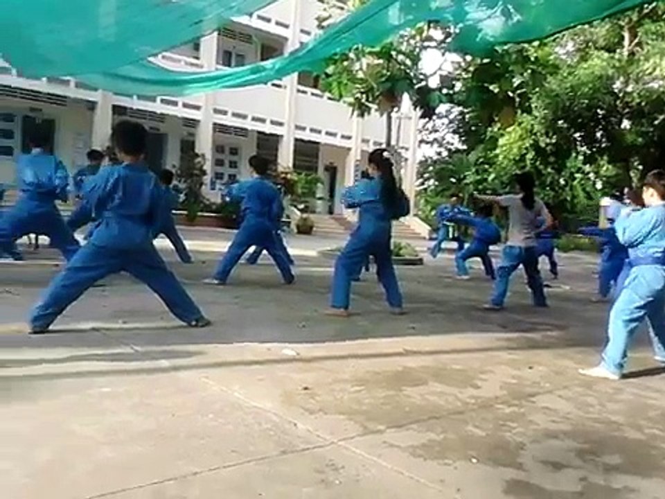 Vo vietnam