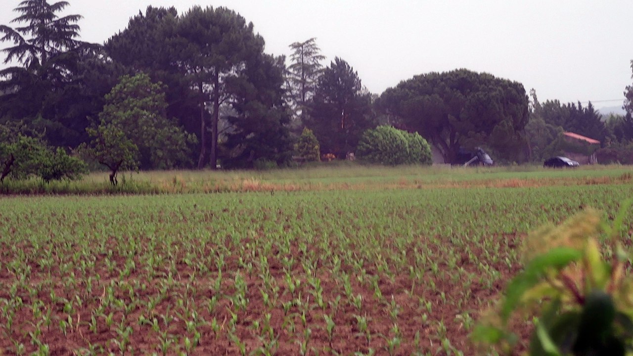 L'Ashram n'est plus ainsi que son superbe jardin - la chouette n'est pas contente  !! APPEL AU RASSEMBLEMENT ZAD AGEN jeudi 2 juin 2016