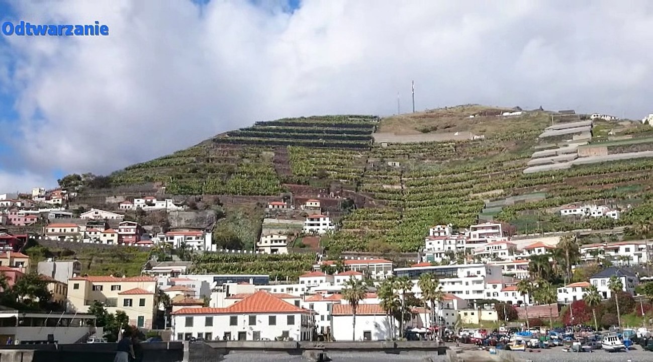 Camara de Lobos