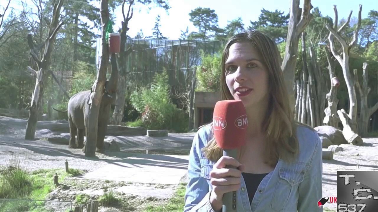Meten la pata en Televisión ( VIDEO DE RISA )