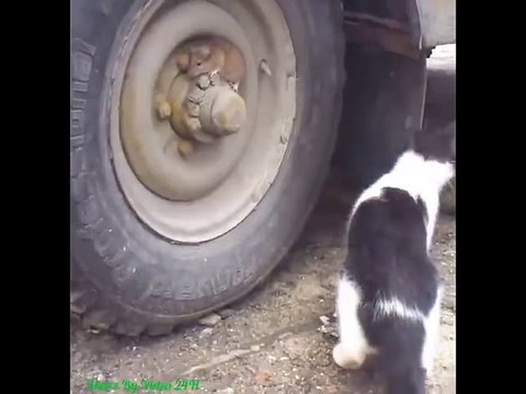 Pha núp lùm ngoạn mục :3 Rớt tim ra ngoài luôn!