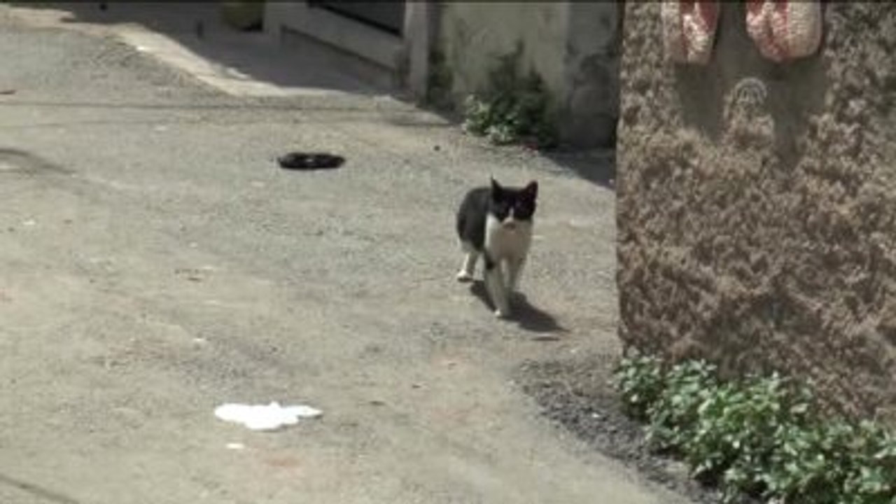 Kuduz Karantinası