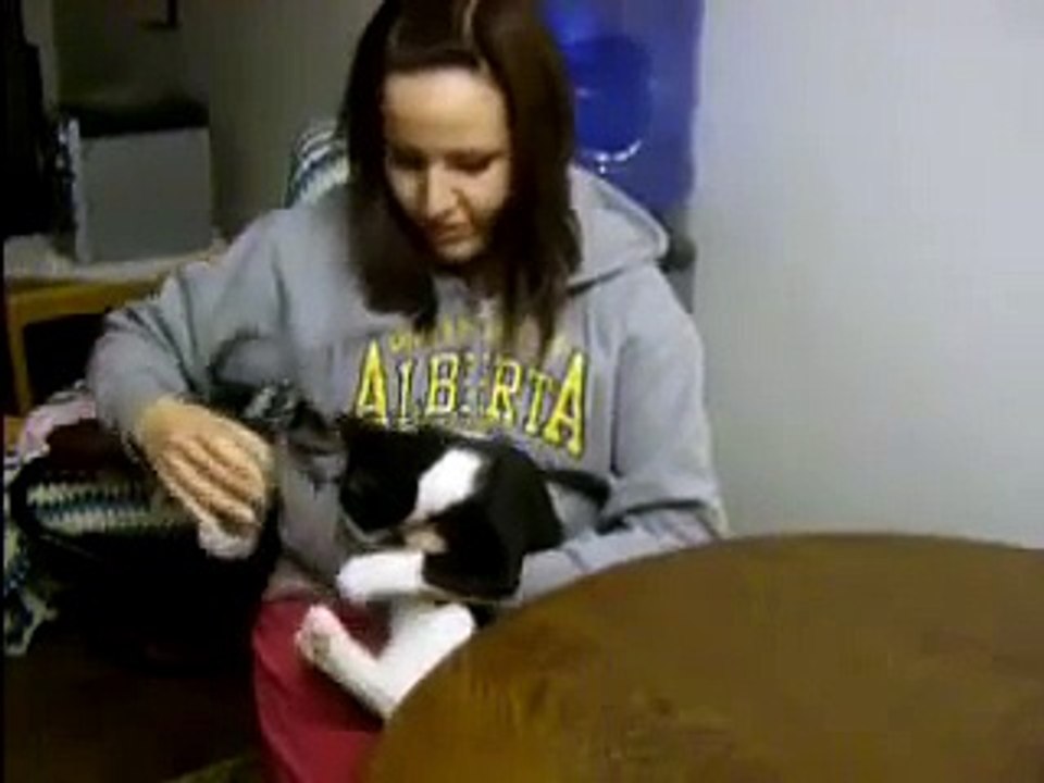 Elle essaie de boire un verre d’eau, mais gardez vos yeux sur le chat... C’est vraiment TROP amusant !!