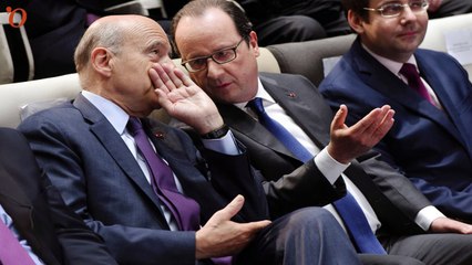 Sondage 2017 : Juppé toujours devant, Hollande scotché à 14%