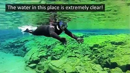 Swimming b/w Europe and North America continent: