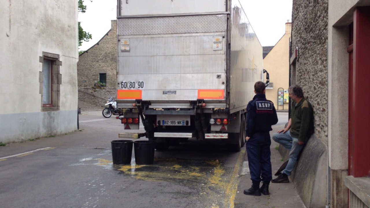 Un camion perd une partie de son chargement d'œufs