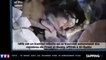 Syrie : Un enfant sorti miraculeusement indemne de décombres après un bombardement russe (vidéo)