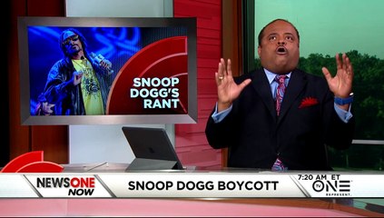 Roland Martin Goes All the Way In On Snoop Dogg For Trashing 'Roots'