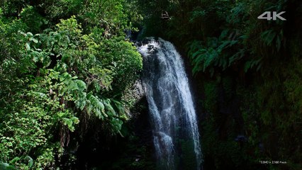 Sony 4K Demo Another World