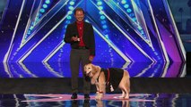 José and Carrie Dancing Dog Shows Her Sweet Moves America's Got Talent 2016 Auditions
