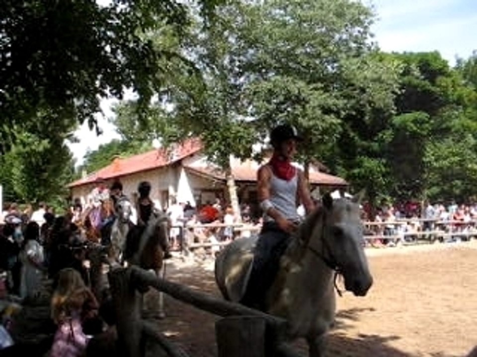 MVI_0046