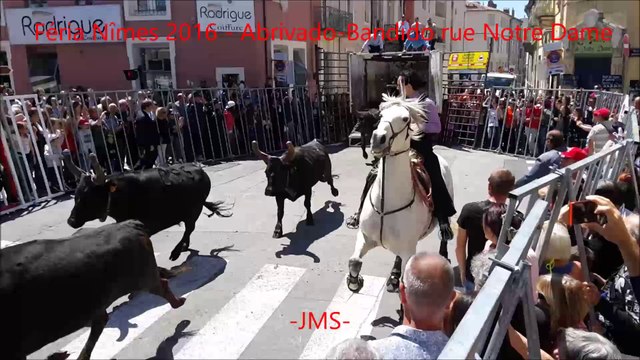 Abrivado-Bandido-rue-Notre-Dame-Féria-Nîmes-2016