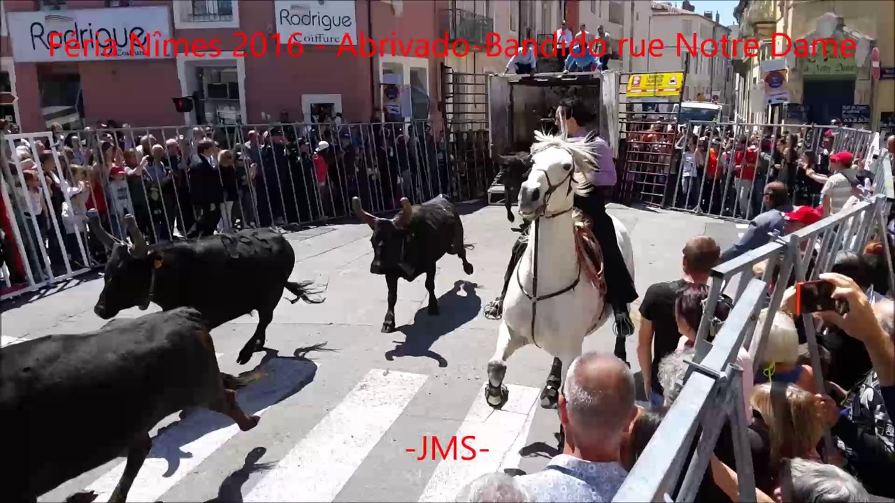 Abrivado-Bandido-rue-Notre-Dame-Féria-Nîmes-2016