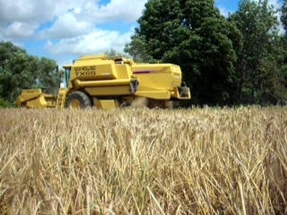 Moisson1