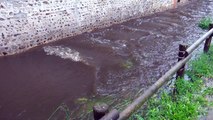 Crue du ru d'Oison (31 mai 2016) dans l'Allée des Jardiniers
