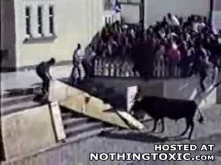 Taureau Machi: Découvrez cette créature mystérieuse