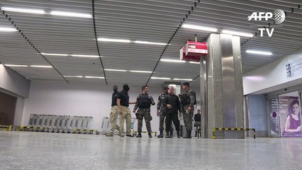 Mit Hunden gegen die Terrorgefahr bei EM und Olympia